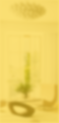 家裝套餐-簡(jiǎn)約安居